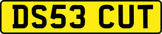 DS53CUT