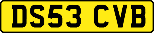 DS53CVB