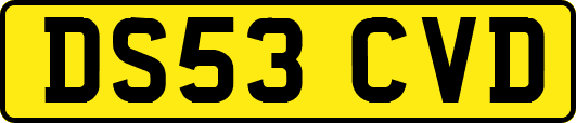 DS53CVD