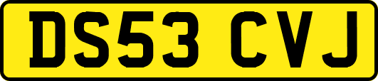 DS53CVJ