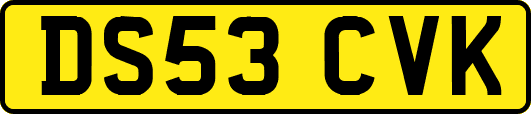 DS53CVK