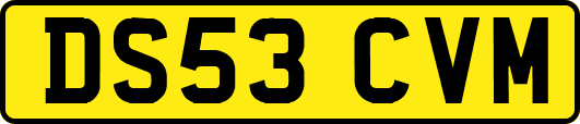 DS53CVM