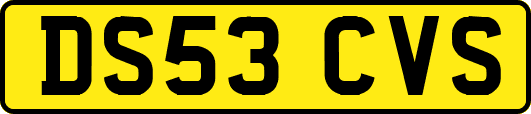 DS53CVS