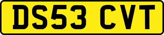 DS53CVT