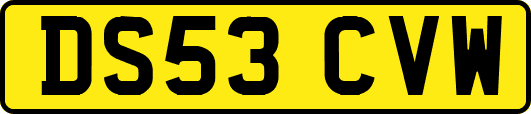 DS53CVW
