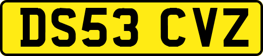 DS53CVZ