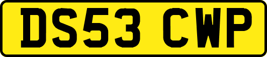 DS53CWP