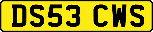 DS53CWS