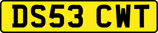 DS53CWT