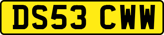 DS53CWW