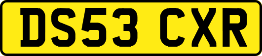 DS53CXR