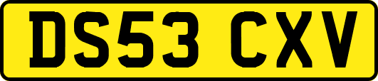 DS53CXV