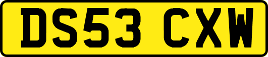 DS53CXW
