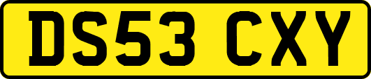 DS53CXY
