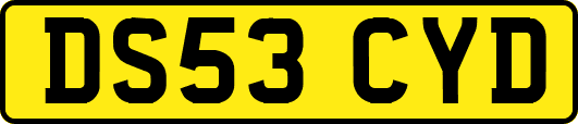 DS53CYD