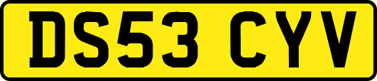 DS53CYV