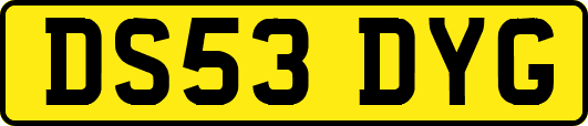 DS53DYG
