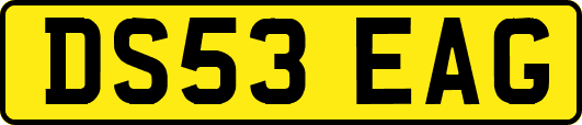 DS53EAG