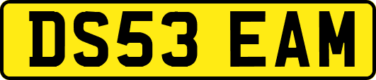 DS53EAM
