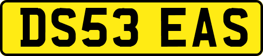 DS53EAS
