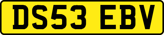 DS53EBV