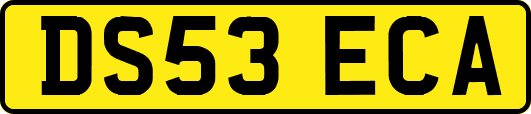 DS53ECA