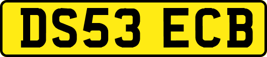 DS53ECB