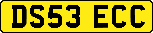 DS53ECC