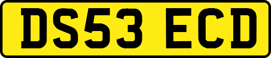 DS53ECD