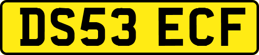 DS53ECF