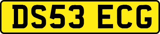 DS53ECG