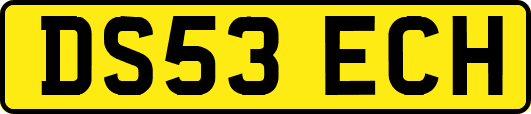 DS53ECH