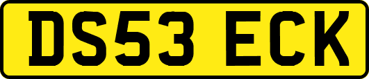 DS53ECK