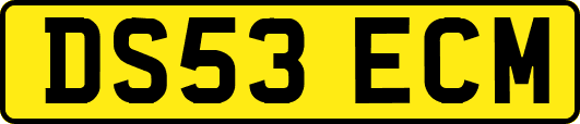 DS53ECM