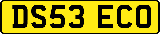 DS53ECO
