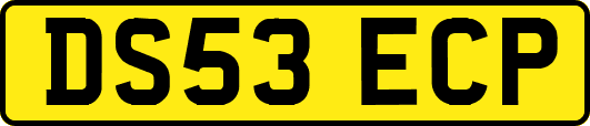 DS53ECP