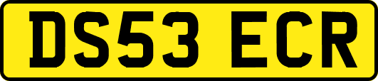 DS53ECR