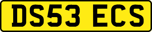 DS53ECS