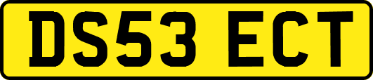 DS53ECT