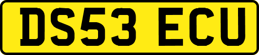 DS53ECU