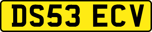 DS53ECV