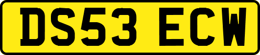 DS53ECW