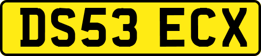DS53ECX