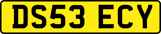 DS53ECY