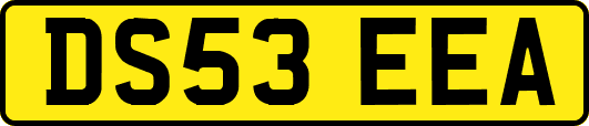 DS53EEA