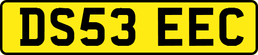 DS53EEC