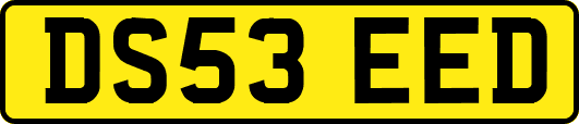 DS53EED