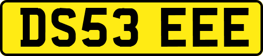 DS53EEE