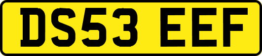 DS53EEF