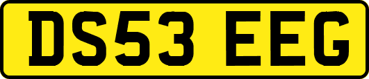 DS53EEG